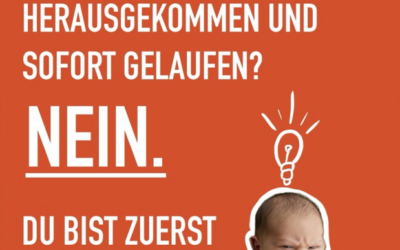 Growth Mindset am Max-Born-Berufskolleg: Aus Fehlern lernen und gemeinsam wachsen