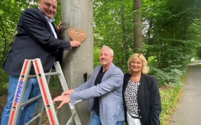 Gravierte Holzherzen zieren Bäume an Kreisstraße